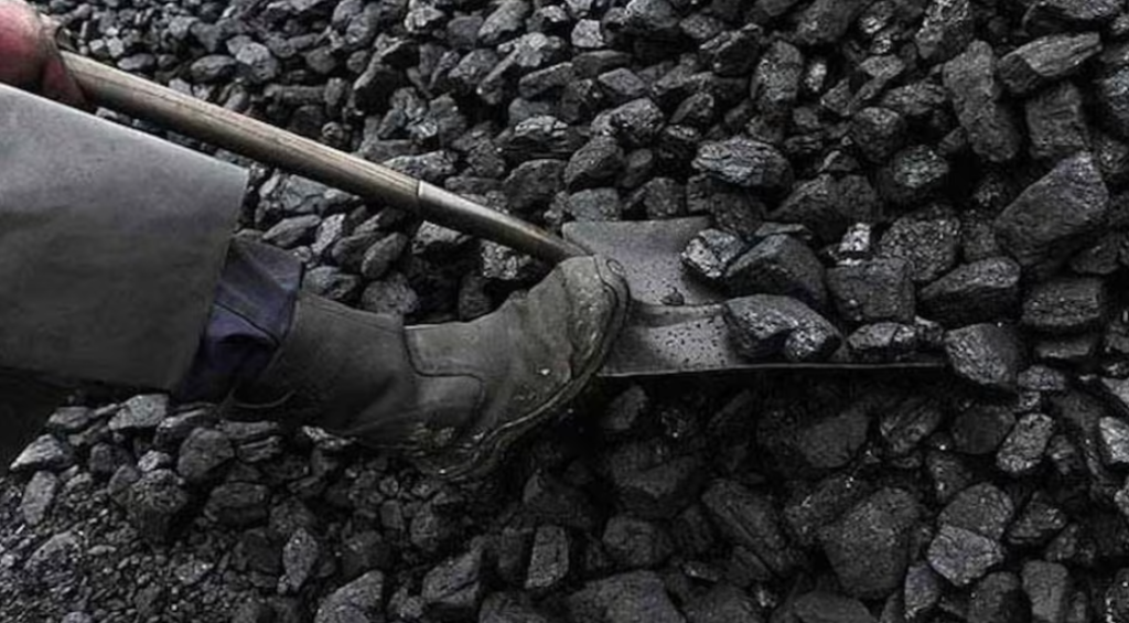 Coal India Q1 Results: जून तिमाही में कंपनी का 10% घट गया नेट प्रॉफिट, 11.67% बढ़ा खर्च, जानिए क्या है कंपनी का कहना?